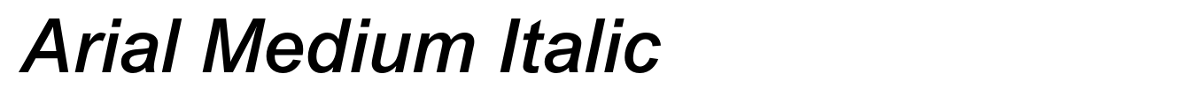 Arial Medium Italic